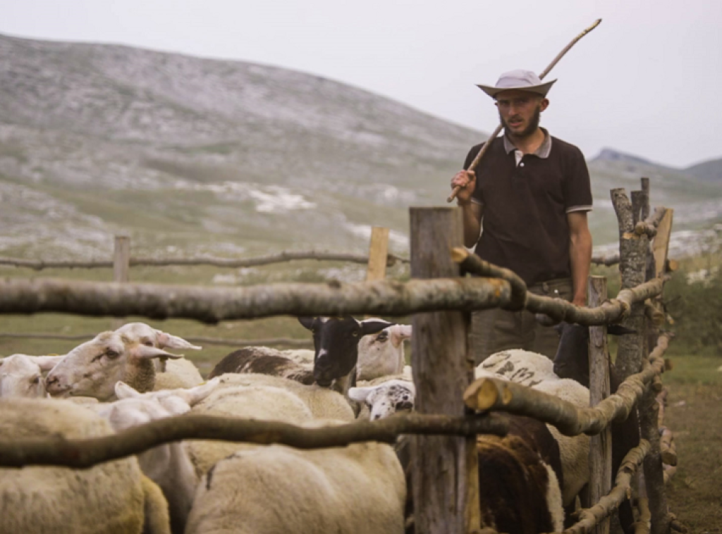 Palić najavio šest filmova u selekciji "Novi mađarski film"