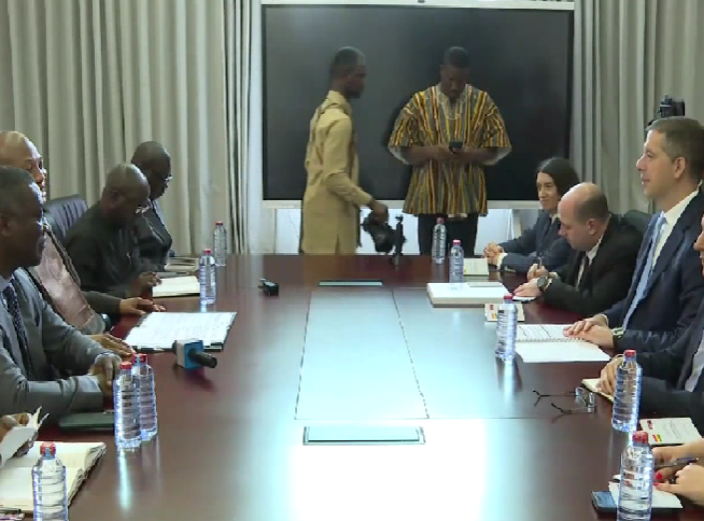 Djuric: Serbia, Ghana advocate values of UN Charter, economic development