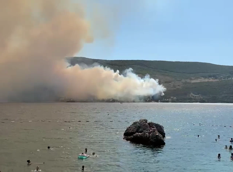 Lokalizovan požar u Njivicama, nema povređenih