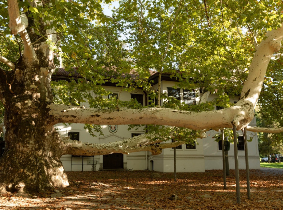 "Dečje letnje igre" počinju 2. avgusta u Topčiderskom parku