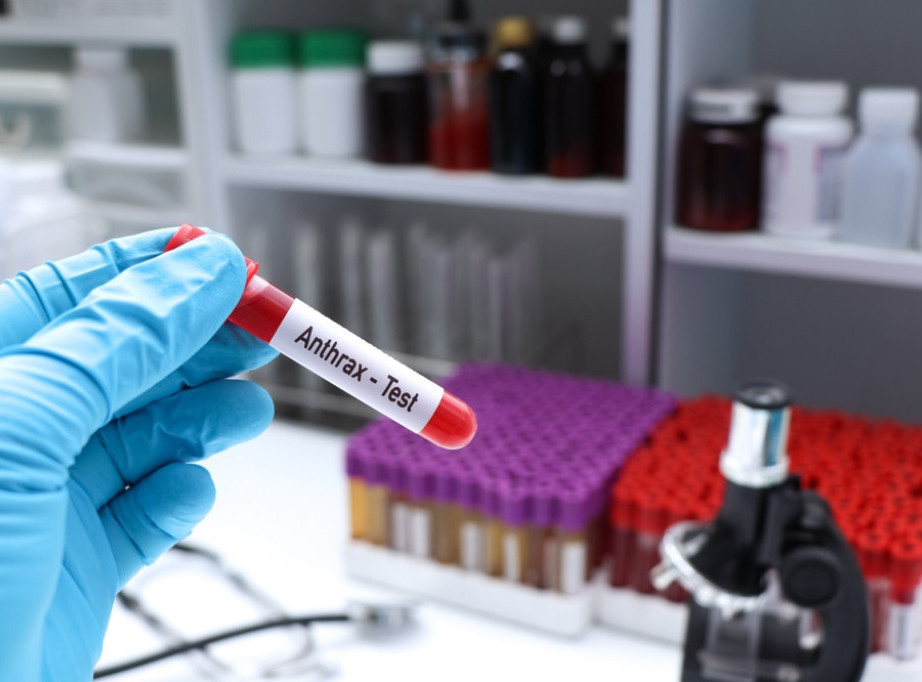 Hrvatska: Ne smiruje se situacija sa antraksom, od 121 uzorka više od polovine pozitivno