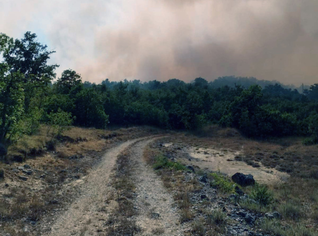 Skoplje: Reigistrovana 22 požara, četiri su još aktivna, dok su tri pod kontrolom