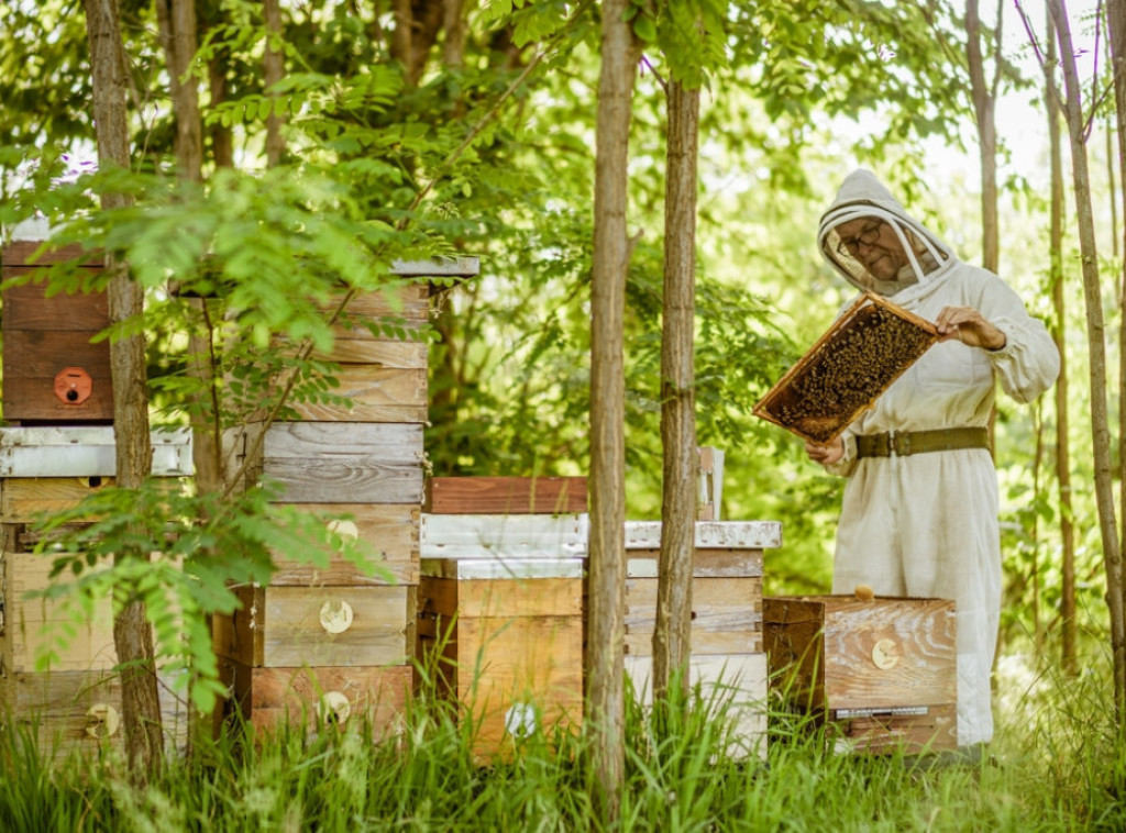 SPOS: U Vranju u subotu Osmi pčelarski sajam Jugoistočnog Balkana