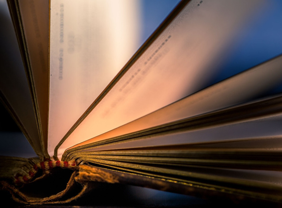 Laguna: Roman nagrađen Pulicerom "Noćni čuvar" Džejn En Filips od sutra pred čitaocima