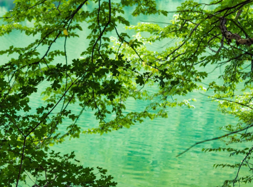 Tradicionalno božićno plivanje na Ženevskom jezeru okupiće oko 4.200 plivača