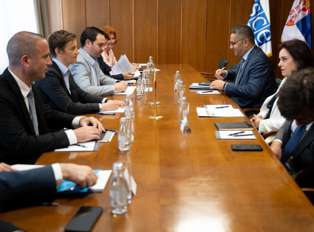 Brnabić razgovarala sa Telalian o osnivanju Radne grupe za unapređenje izbornih uslova