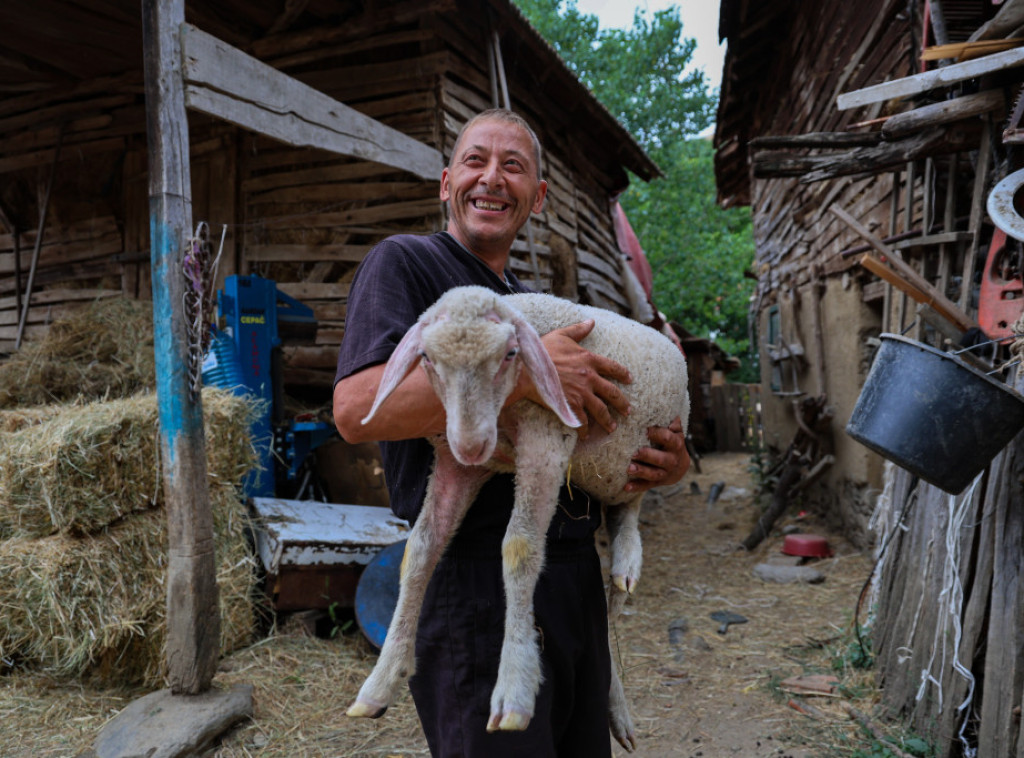 Gujon: Završili smo podelu 154 stočna grla i 75 plastenika vrednim porodicama na KiM