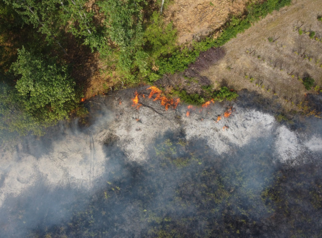Čačak: Požar u čačanskom naselju Preljina, izgorela livada i zasad oraha