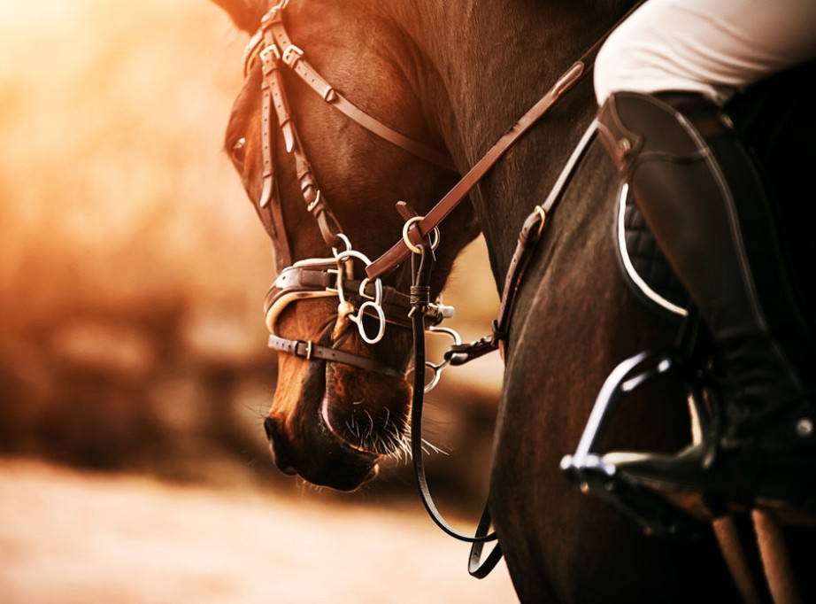 Nikola Jokić emotivno proslavio pobedu svog konja na trci u Subotici