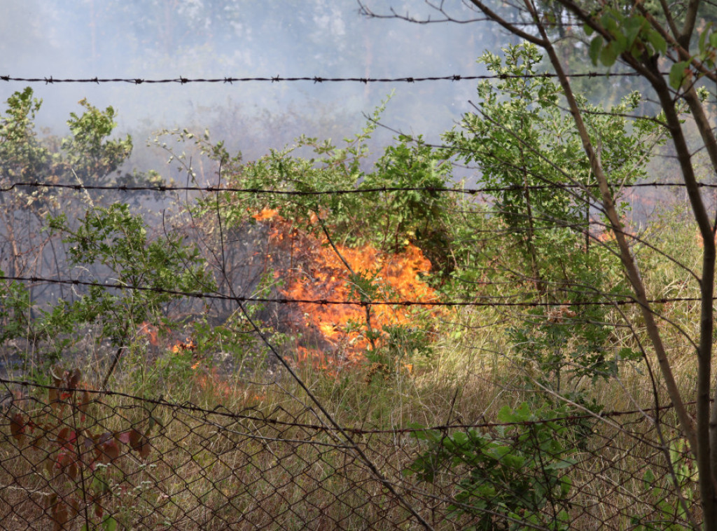 Miodrag Bešović: Ako se pogorša požar na Lustici tražićemo kanader od Hrvatske