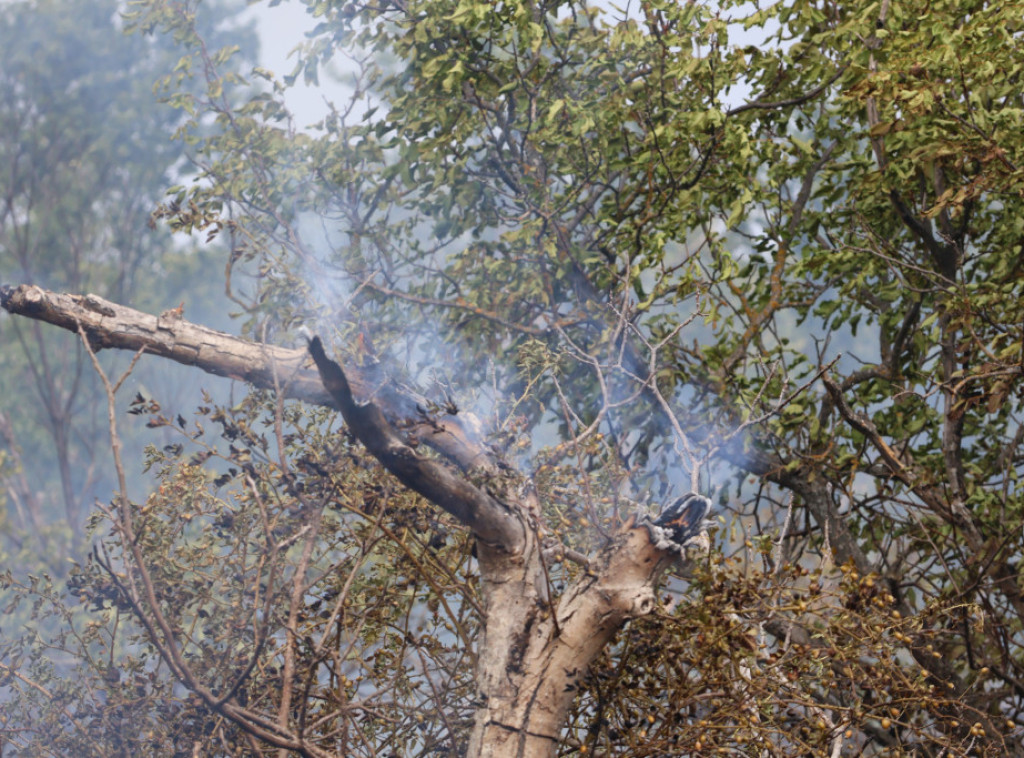 Poziv za nadoknadu štete od požara u Vranju biće raspisan u ponedeljak
