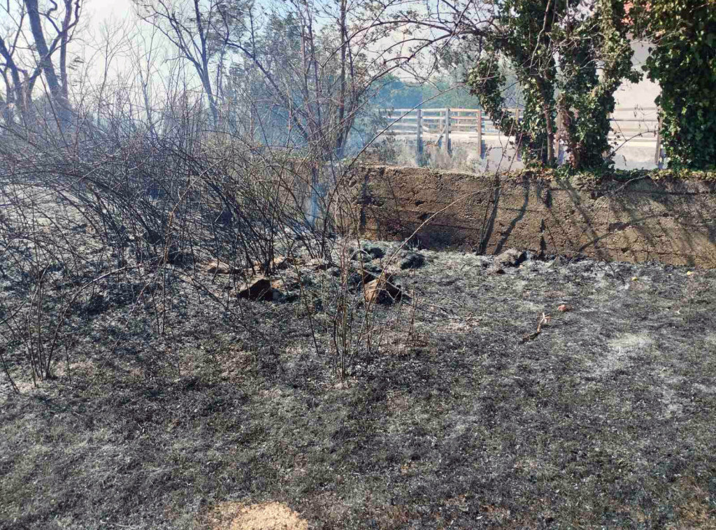 Grad Prokuplje raspisao poziv za prijavu štete od požara, rok za prijavu 15 dana