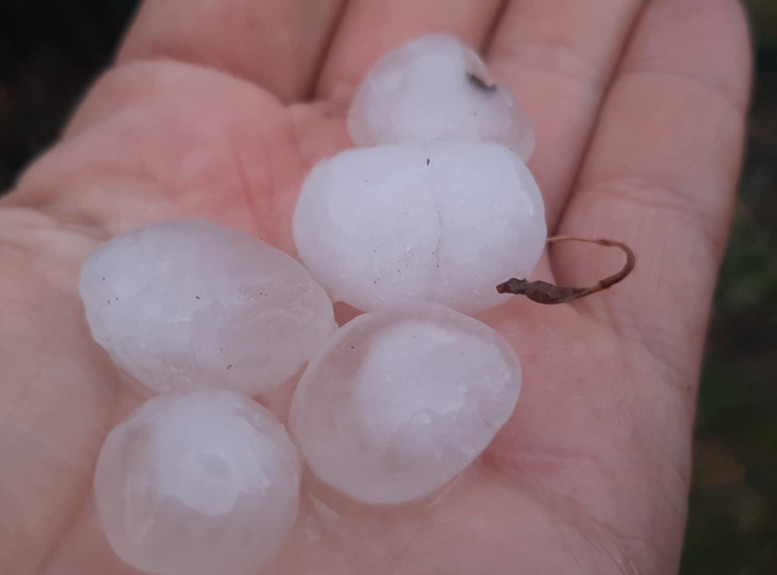 Crna Gora: Nevreme pogodilo Pljevlja, pala fasada, slomljena stabla, oštećena vozila