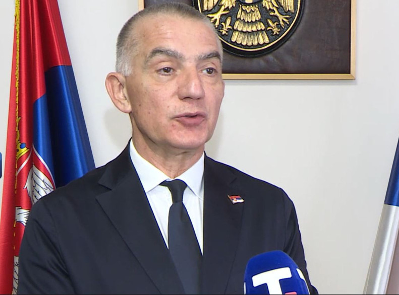 Nenad Vujić: Alimentacionim fondom država štiti prava deteta