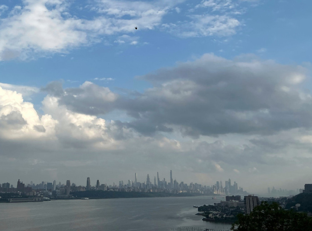 Nju Džerzi: Kit stradao u sudaru sa brodom