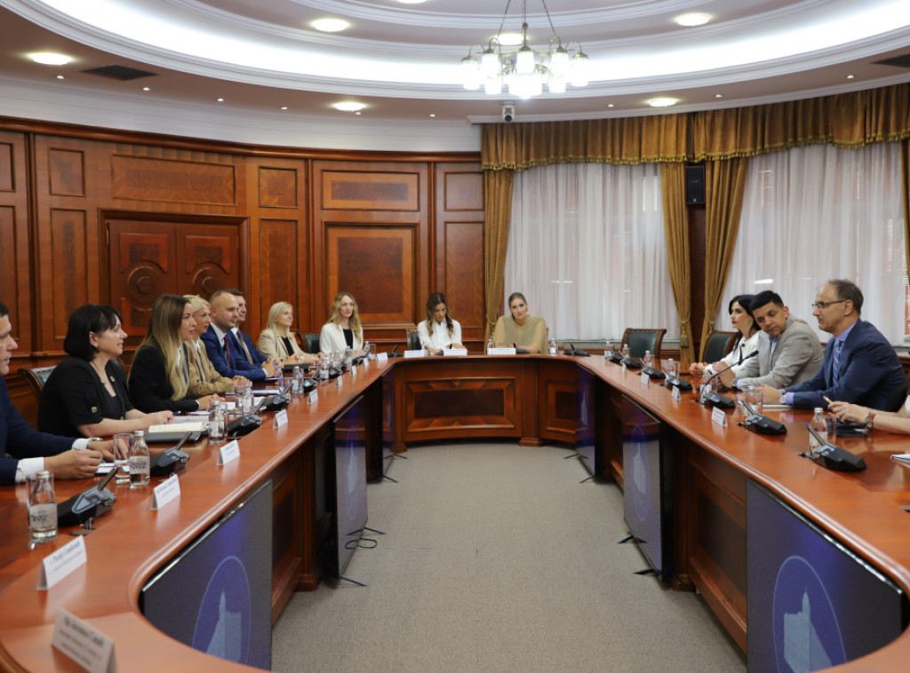 Macut, Mesarovic discuss future government steps towards further economic development