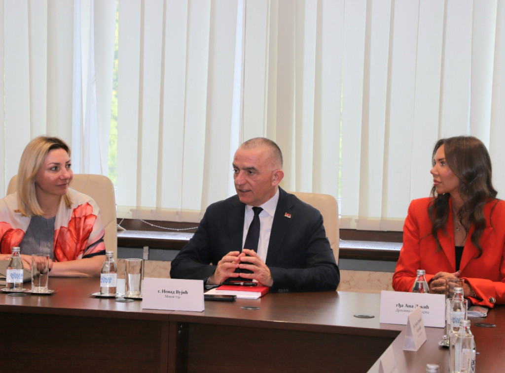 Ministar Vujić najavio početak radne grupe za izmenu Zakona o sprečavanju nasilja u porodici