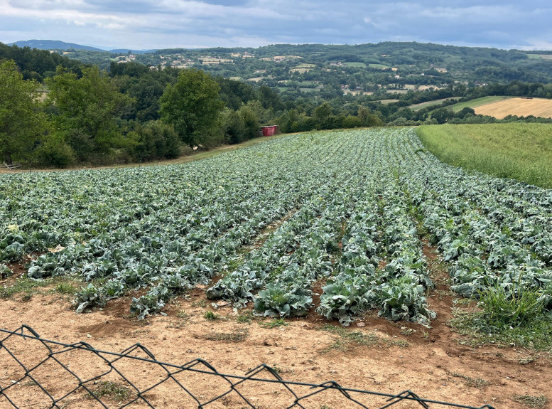 Gornji Milanovac: Ukinuta vanredna situacija na delu teritorije opštine