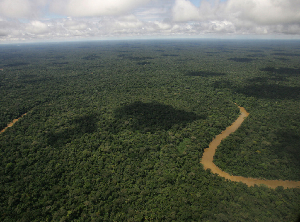 Brazil: Krčenje šuma u Amazonu poraslo za četiri odsto u poslednjih 12 meseci