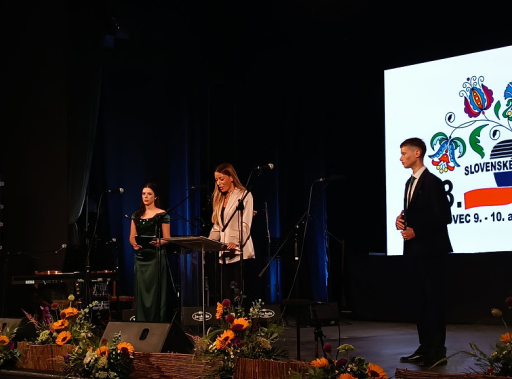 Mesarović: Prijateljstvo Srbije i Slovačke osvedočeno u vremenima velikih iskušenja