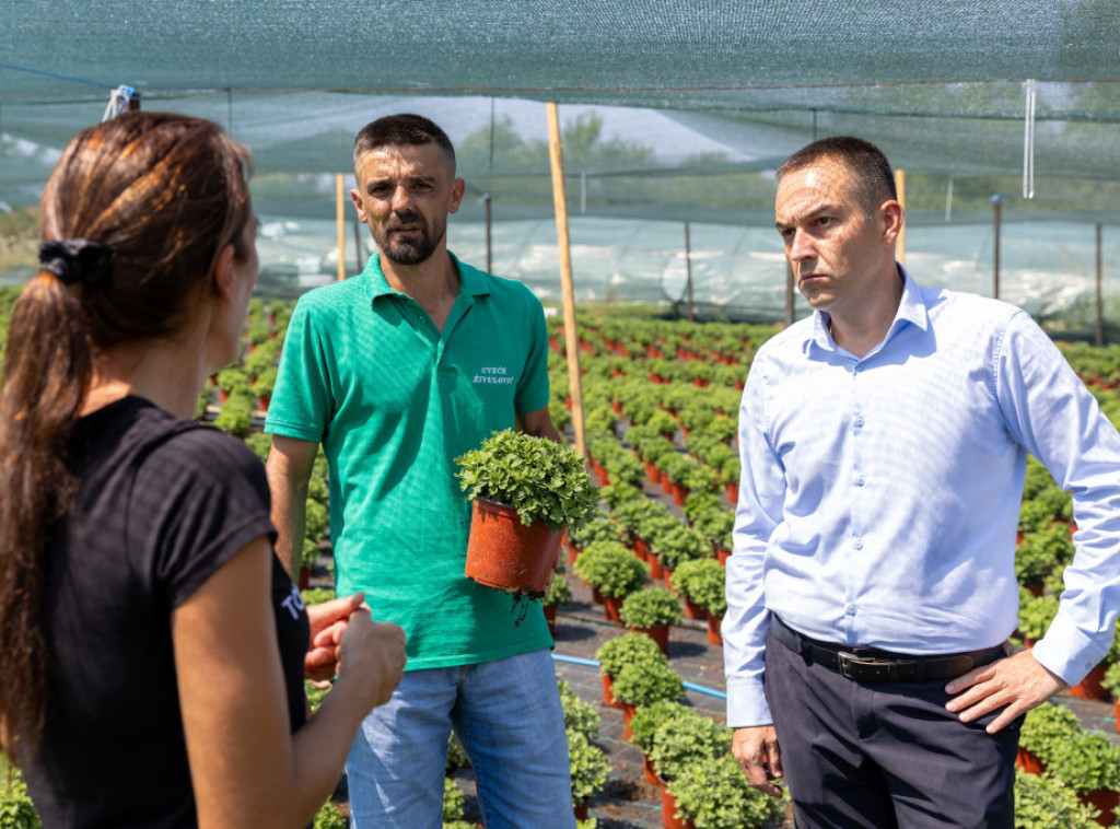 Čedomir Rakić u poseti porodici koja gaji hrizanteme: Država će pomoći cvećarima