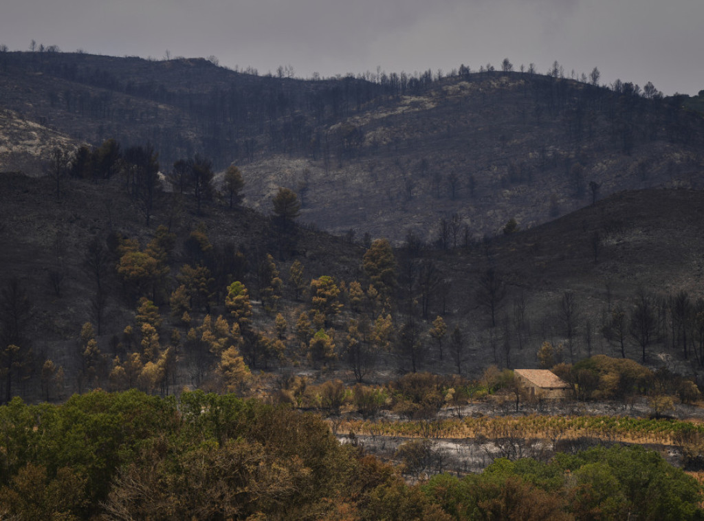BFM: 230 hektara vegetacije uništeno u šumskom požaru u Francuskoj