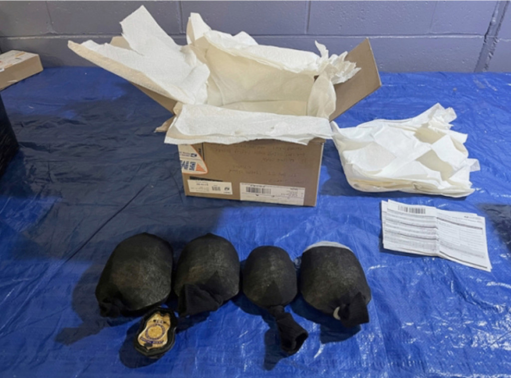 Kinez priznao američkom sudu da je krijumčario kornjače umotane u čarape