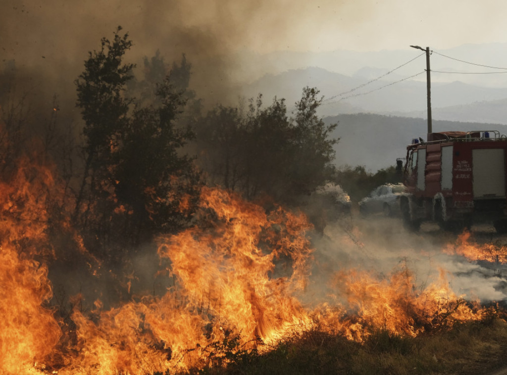 Nikola Jočić: Na 120 imanja, od 270 zahteva, šteta od požara 570 hiljada evra
