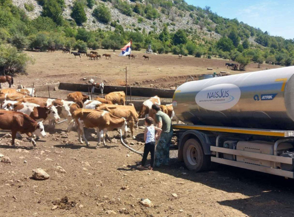 Glamočić: Država obezbedila vodu za stoku na Staroj planini ali to je obaveza vlasnika