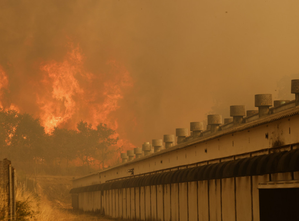 Sedam požara i dalje aktivno u Portugalu, gasi ih 4.000 vatrogasaca