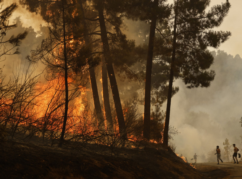 Šumski požari u Bugarskoj pod kontrolom, vlasti traže dobrovoljce za potpuno gašenje