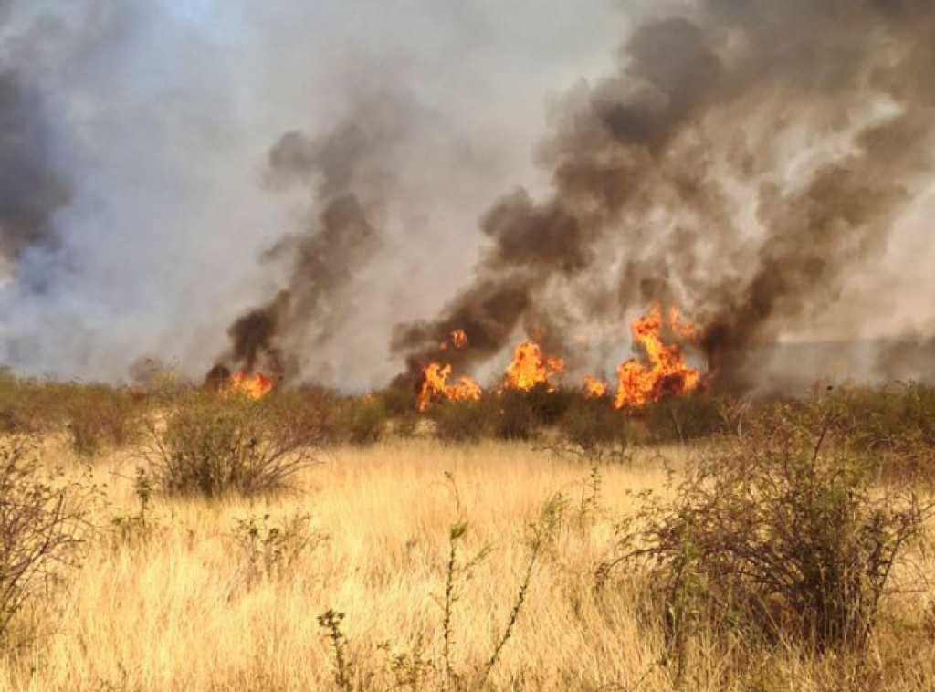 UAE ustupiće Crnoj Gori vatrogasni avion Antonov AN-32P