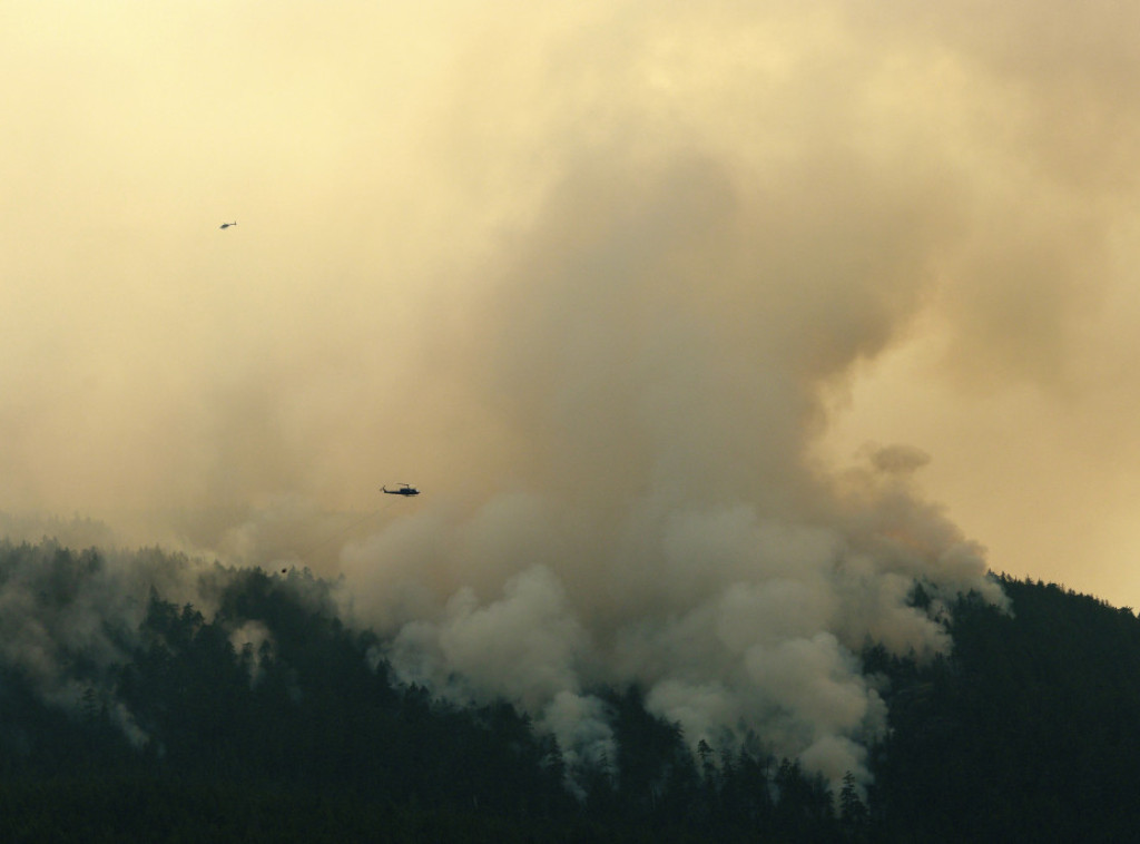Požar u šumskom području u Mesohoriji, na ostrvu Evija, delimično pod kontrolom
