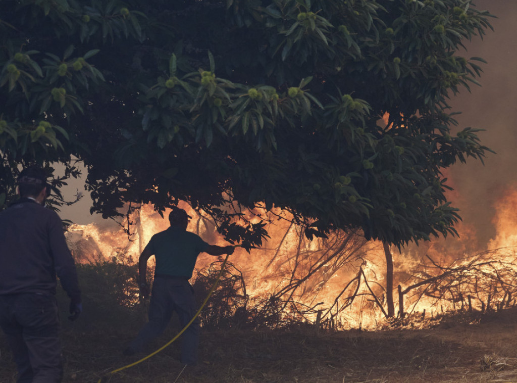Šumski požari u Španiji, evakuisano više od 30.000 ljudi