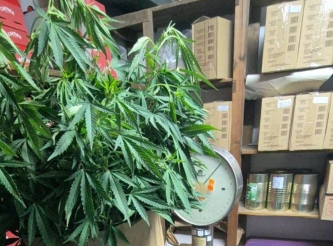 U Boru uhapšen muškarac kod koga su pronađeni narkotici