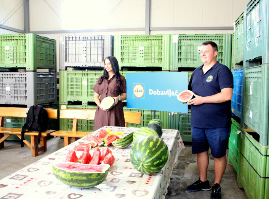 ''Lidl'' ove sezone otkupio oko 5.000 tona lubenice iz Srbije, glavni dobavljač iz Klenka