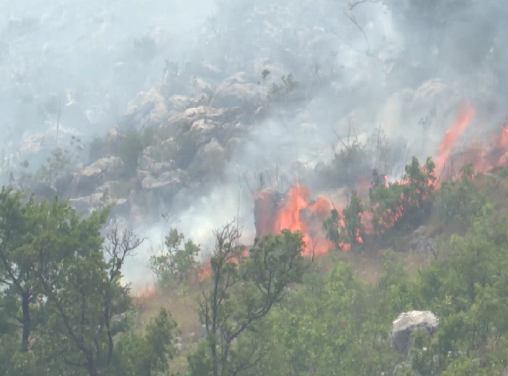 Dva šumska požara u Austriji zahvatila površinu veću od 110 hektara