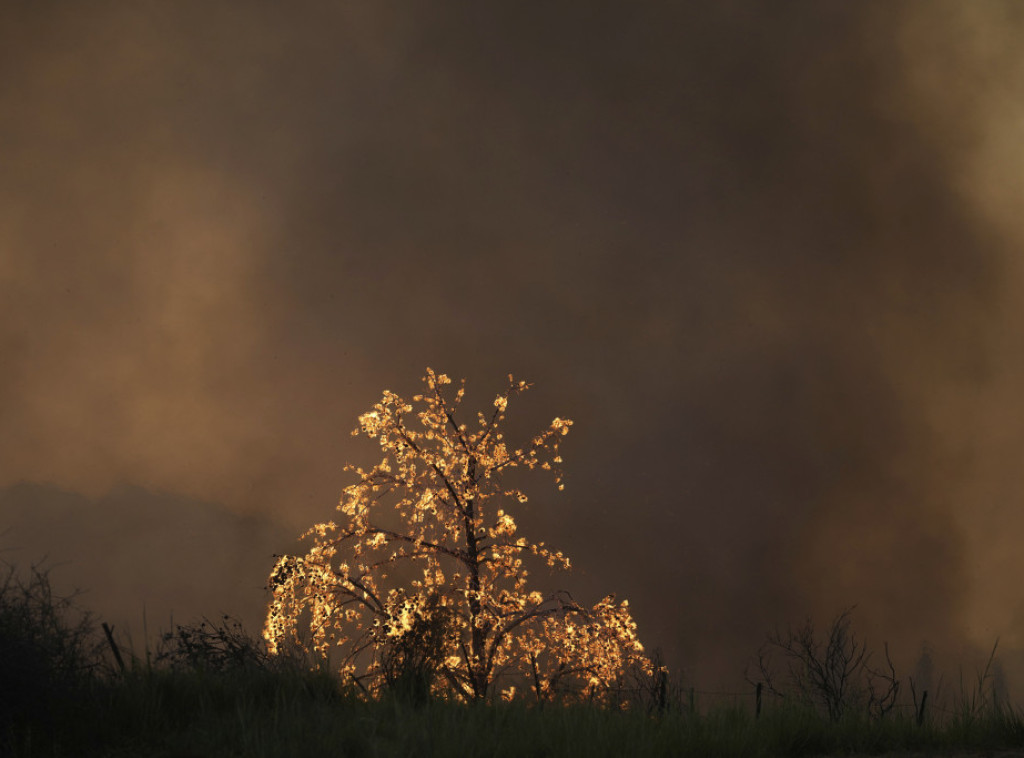 Požar izbio u grčkom Nacionalnom parku Valija Kalda