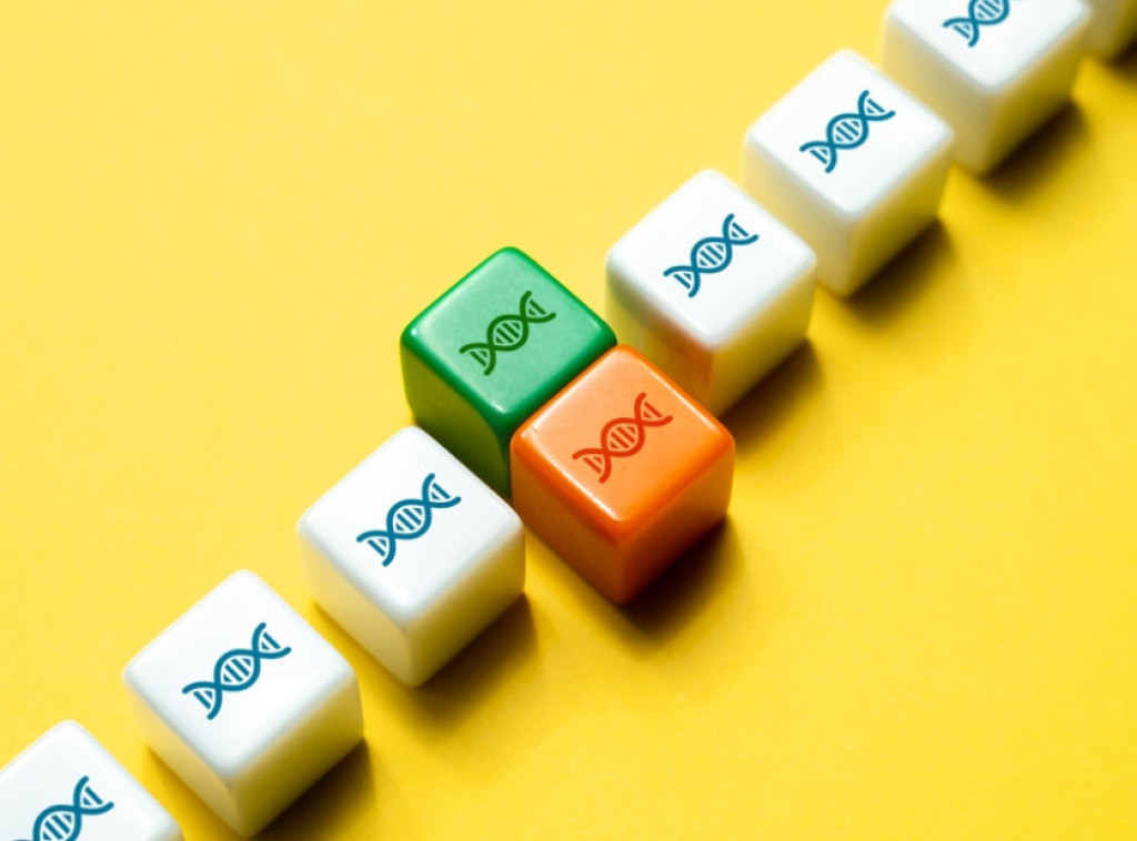 Studija otkriva način na koji limfom preoblikuje ljudski genom