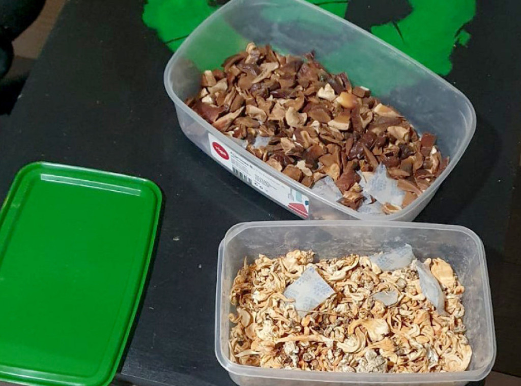 Policija u Bečeju otkrila dve laboratorije za veštački uzgoj psihoaktivnih pečuraka