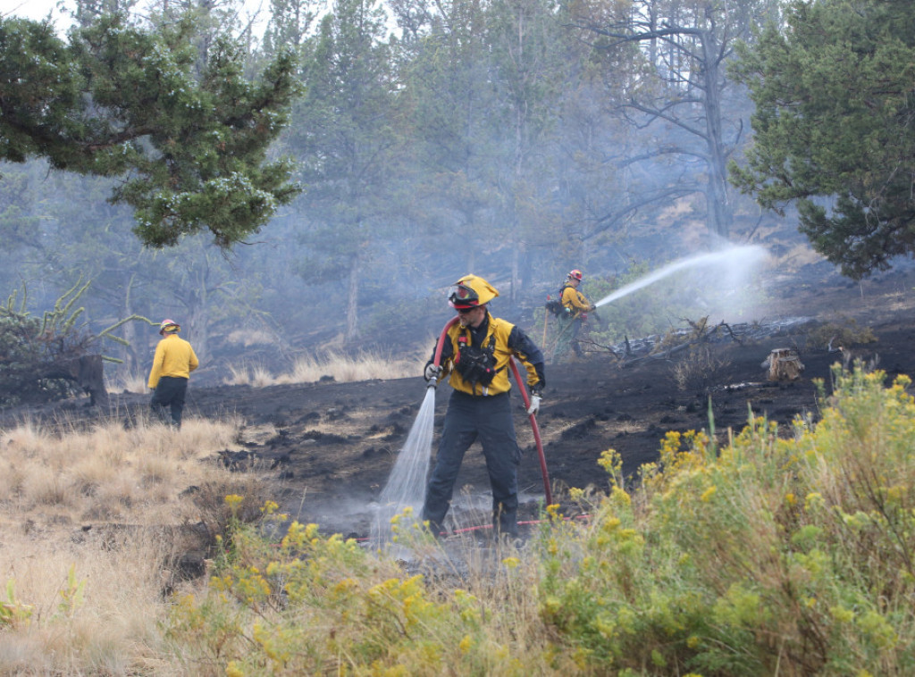 Stabilizovana situacija nakon požara u Oregonu, kalifornijski vinogradi bezbedni