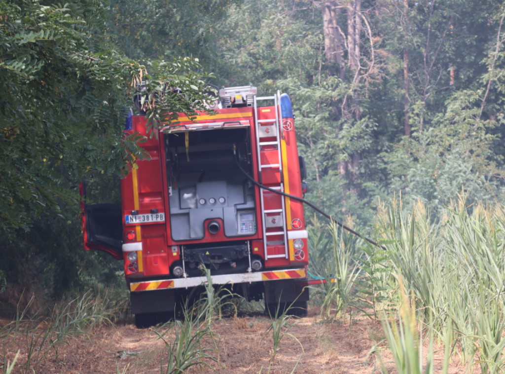 Veliki požar kod Vršačkog brega, izgorele dve vikendice