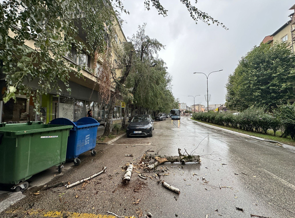 Olujno nevreme zahvatilo Čačak, vetar obarao drveće