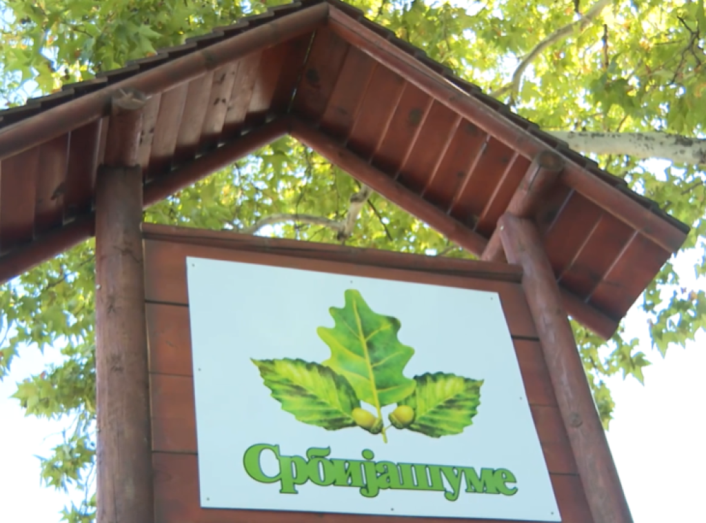 JP ''Srbija šume'': Besplatna drva za najugroženija domaćinstva, prijava do 1. marta