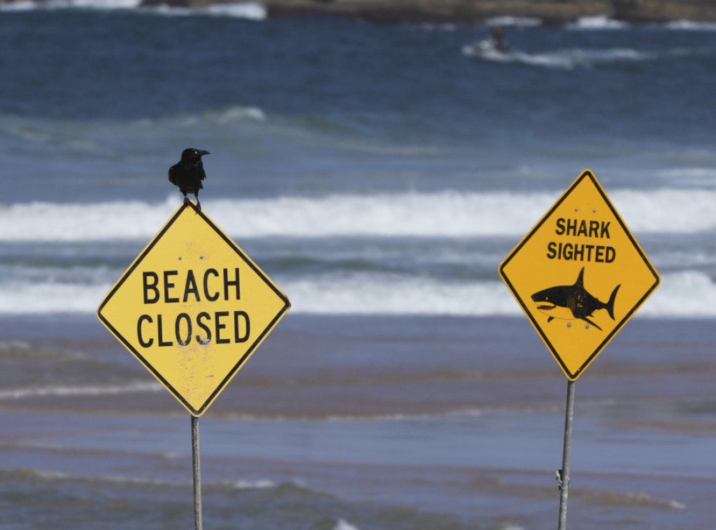 Surfer preminuo nakon napada ajkule u Sidneju