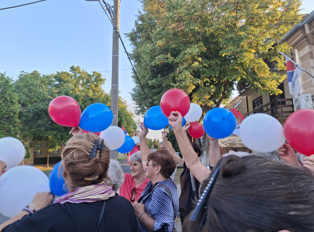Vučević na skupu građana protiv blokada u Kaću: Veličanstven skup pristojne Srbije