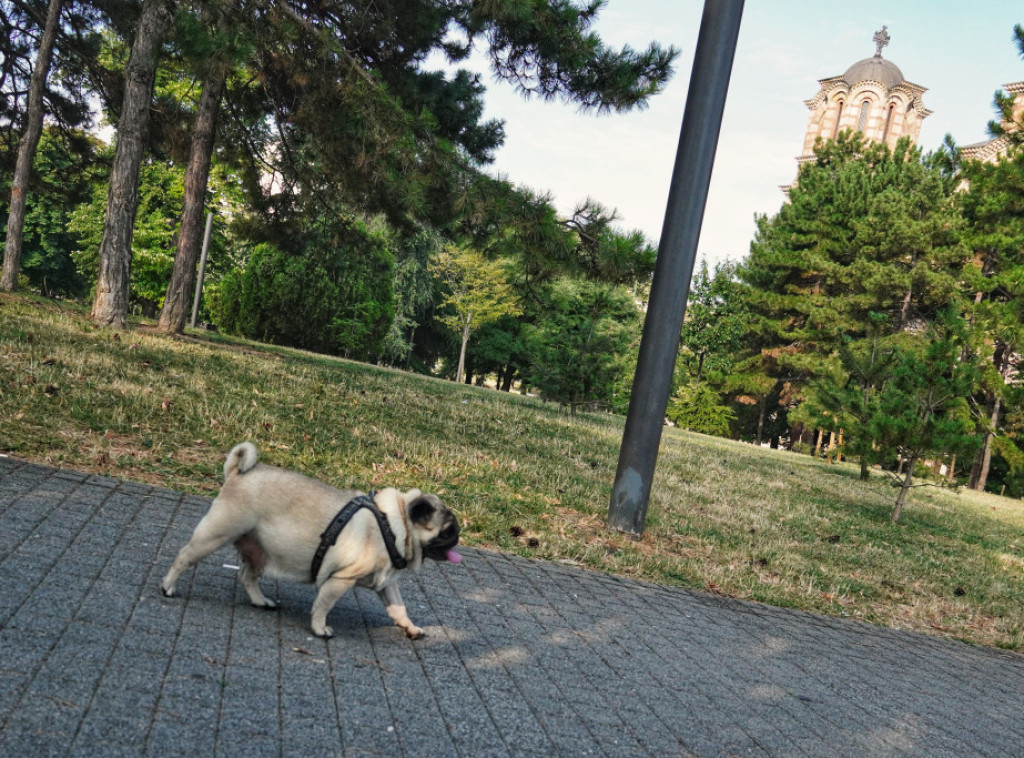 Danas promenljivo oblačno i toplo, uveče mestimična kiša, pljuskovi i grmljavina