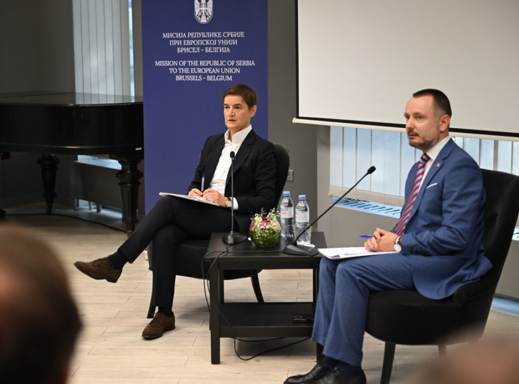 Brnabić na panelu u Briselu o evropskim integracijama Srbije