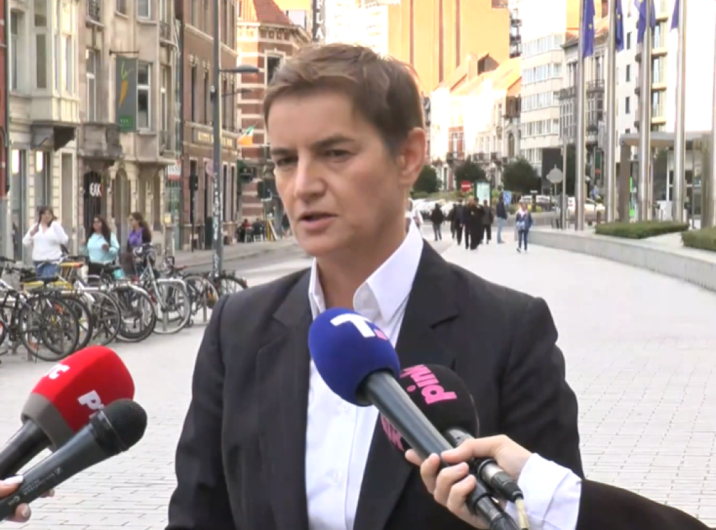 Brnabić: Učestvujem na skupu protiv blokada, građani Srbije žele život bez terora