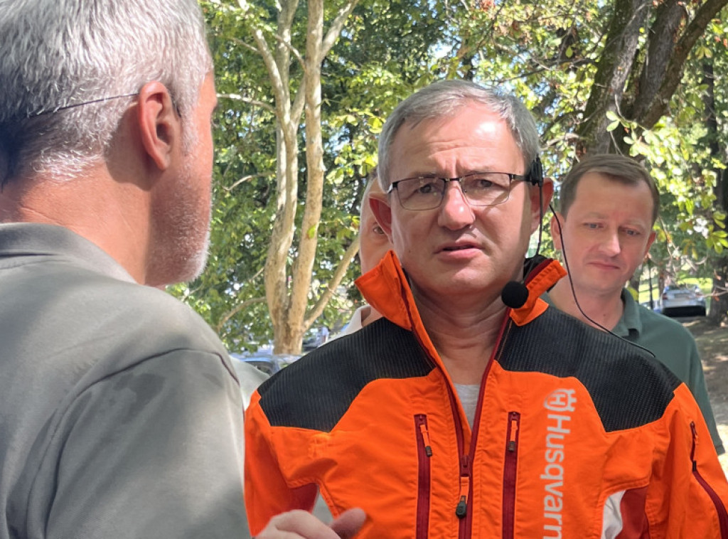 Glamočić: Pošumljenost Srbije u ravni sa evropskim prosekom